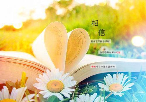 全章节小说文流苏赵青玉主角为【详见介绍】阅读