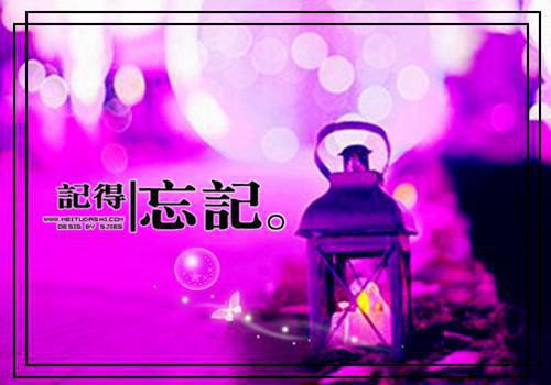 你要活下去夏天星最新小说大结局阅读