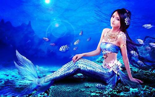 这个豪门少奶奶我不当了小说 叶桑齐涉by酸枣汁在线阅读