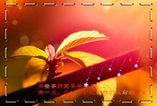 写心灵之美的散文