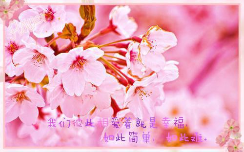 元若黎周慕岐最新章节（元若黎周慕岐小说）全文免费阅读无弹窗大结局_元若黎周慕岐小说免费阅读（元若黎周慕岐）
