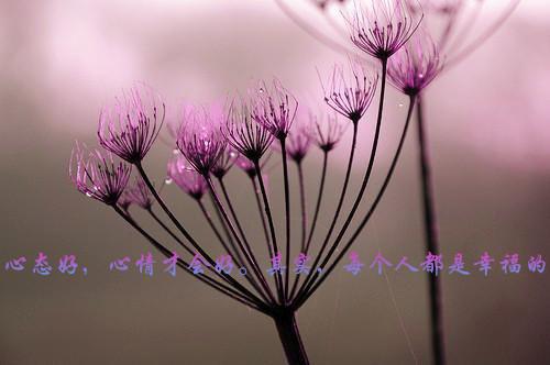 言茜厉廷烨在线阅读 (厉廷烨言茜)言茜厉廷烨全文小说免费阅读