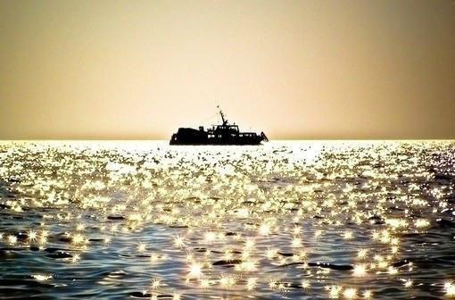 独家病娇傅爷的娇宠小丫头小说林夕怜傅琛白全文免费阅读