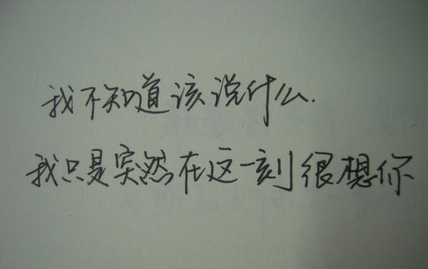 程十凰徐泽瑜小说（程十凰徐泽瑜）全文免费阅读无弹窗大结局_程十凰徐泽瑜小说（程十凰徐泽瑜小说）