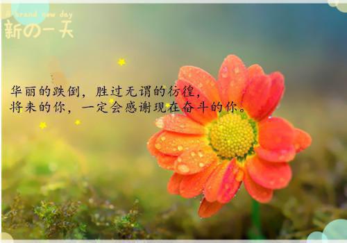 徐衫徐图小说微信内阅读 养女很爱跟我比在线看