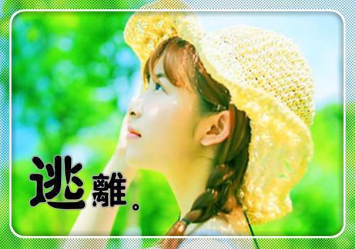 贺兰儿司宸曜贺兰儿司宸曜小说(已完结小说全集完整版大结局)小说全文阅读