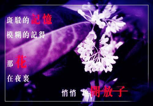 林佳慧程文峰全文免费阅读(林佳慧程文峰)全文免费阅读无弹窗大结局(林佳慧程文峰小说免费)最新章节列表(林佳慧程文峰)