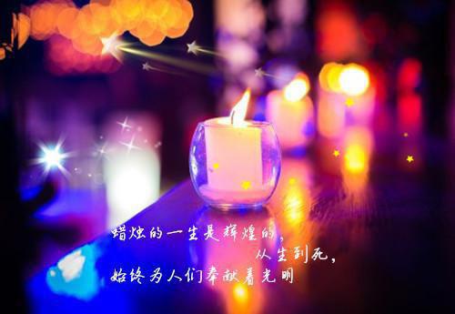 病娇大佬,宠爱无法无天(夏漓鸽容焱)小说免费阅读无弹窗_ (夏漓鸽容焱) 病娇大佬,宠爱无法无天最新章节列表（夏漓鸽容焱）