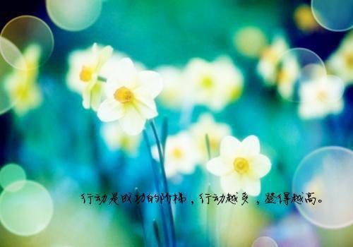 夏渝陆桁（陆桁夏渝）全文免费阅读无弹窗大结局_（夏渝陆桁）夏渝陆桁最新章节列表（夏渝陆桁）