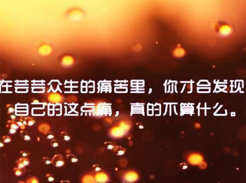 颜舒絮裴惟之小说（裴惟之颜舒絮）完整全文在线阅读_颜舒絮裴惟之小说免费阅读全章节目录（裴惟之颜舒絮）