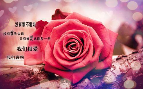 叶萤萤战乾骁主角的书 花瓶成精，我送大将军破蛮夷全文阅读免费