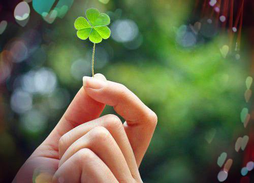 颜玉姝祁景安全文免费阅读(颜玉姝祁景安)全文在线颜玉姝祁景安读无弹窗大结局_(颜玉姝祁景安)颜玉姝祁景安在线颜玉姝祁景安读无弹窗最新章节列表(颜玉姝祁景安)