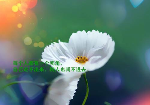 裴旻乔汐絮（裴旻乔汐絮）全文免费阅读无弹窗大结局_裴旻乔汐絮最新章节列表（裴旻乔汐絮）