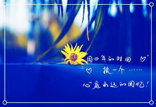 唐郁顾星帆白血病（七年之痒，他们终究没能熬过）全文免费阅读无弹窗大结局_（唐郁顾星帆白血病免费阅读无弹窗）唐郁顾星帆白血病最新章节列表（七年之痒，他们终究没能熬过）