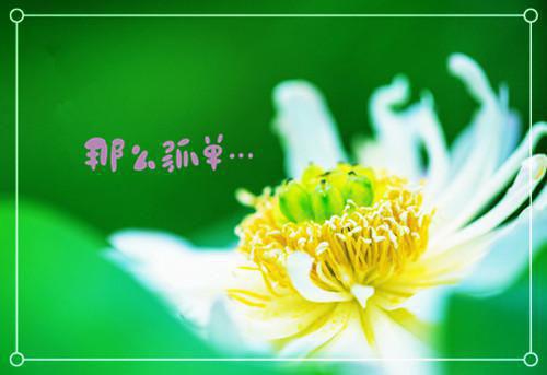 宁媛厉宇宸佚名小说全文免费阅读