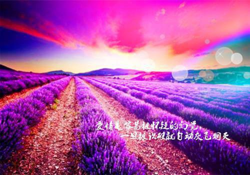 沈晚音封砚全文免费阅读（封砚沈晚音）全文免费阅读无弹窗大结局_(封砚沈晚音)沈晚音封砚免费阅读无弹窗最新章节列表（封砚沈晚音）