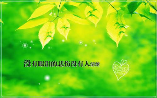 王恒毕业晚会全本小说王恒毕业晚会免费章节阅读