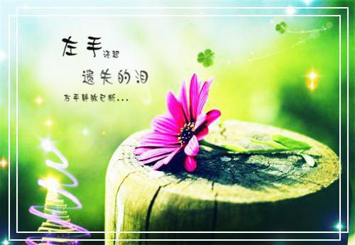 夏娜姜博免费（姜博夏娜）完整全文在线阅读_夏娜姜博免费免费阅读全章节目录（姜博夏娜）