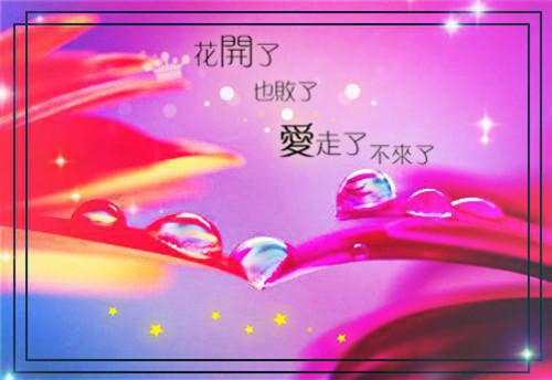 时觅傅凛鹤小说时觅傅凛鹤大结局(时觅傅凛鹤)全文在线时觅傅凛鹤读无弹窗大结局_(时觅傅凛鹤小说时觅傅凛鹤大结局时觅傅凛鹤)时觅傅凛鹤小说时觅傅凛鹤大结局在线时觅傅凛鹤读无弹窗最新章节列表(时觅傅凛鹤)