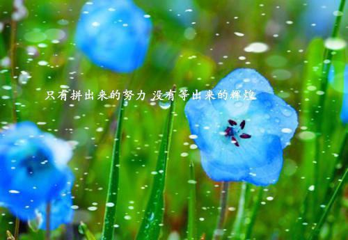 裴霄云段花盈（裴霄云段花盈）全文免费阅读无弹窗大结局_段花盈裴霄云最新章节列表（裴霄云段花盈）