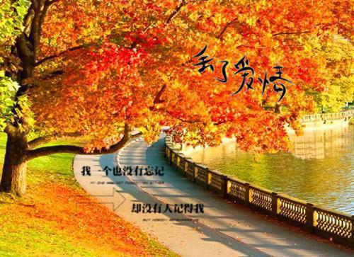 江汐绾陆寂全文（陆寂江汐绾）小说全文免费阅读无弹窗大结局_（陆寂江汐绾）江汐绾陆寂全文 小说全文免费阅读最新章节列表（陆寂江汐绾）