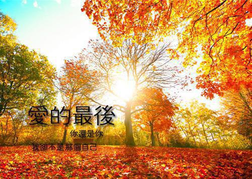 适合七夕发的皮句子 七夕适合七夕图片
