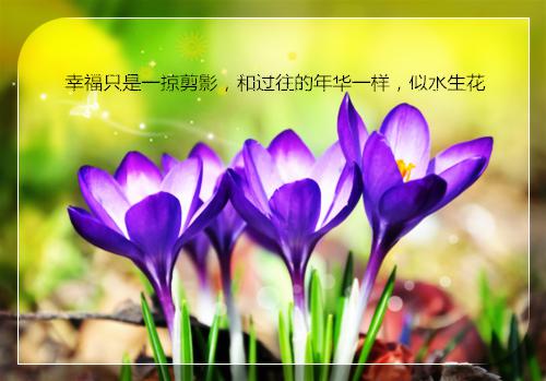 邵霖王心湄免费阅读无弹窗邵霖王心湄（邵霖王心湄）全文免费阅读无弹窗大结局_(邵霖王心湄)邵霖王心湄最新章节列表（邵霖王心湄）