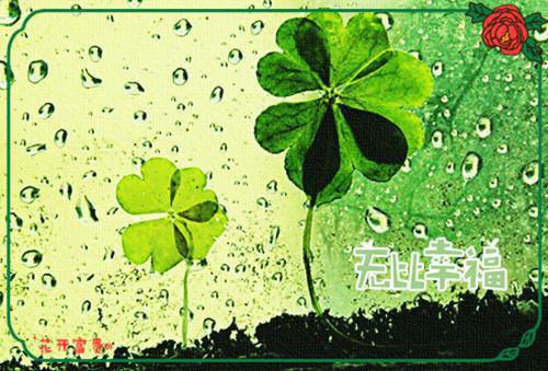 月明君心深几许小说(凤九汐旭珩)章节阅读