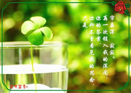 楼京月霍平山全文（霍平山楼京月）完整全文在线阅读_楼京月霍平山全文免费阅读全章节目录（霍平山楼京月）