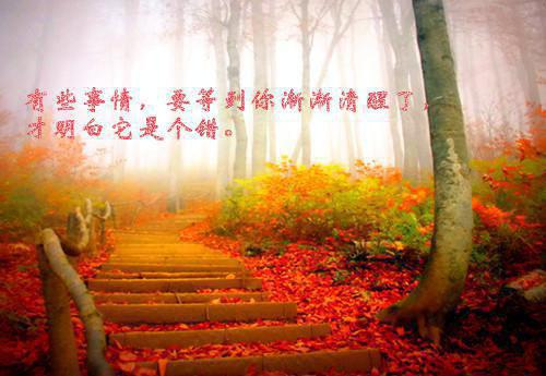 表达心累又无奈的诗句 表达压抑又无奈的句子