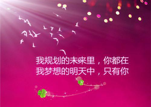 仙子饶命全章节小说叶玄南宫曌大结局阅读