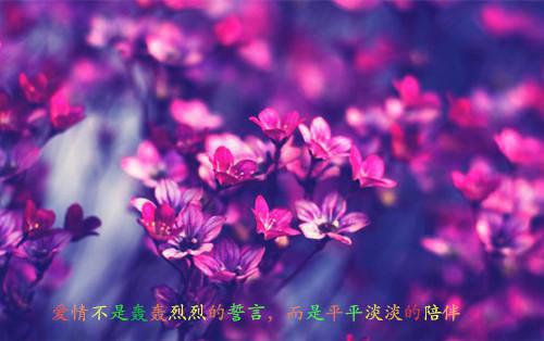 沈絮果闻宴祁免费阅读（闻宴祁沈絮果）全文免费阅读无弹窗大结局_沈絮果闻宴祁免费阅读最新章节列表（闻宴祁沈絮果）