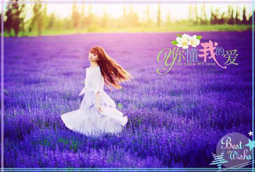 秦团长,这一世我们到此为止吧在线阅读 (林浅秋秦北阳)秦团长,这一世我们到此为止吧全文小说免费阅读