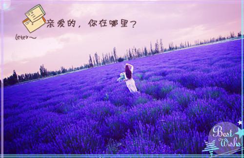 (抖音小说)夏薇薇许南生小说全文阅读免费