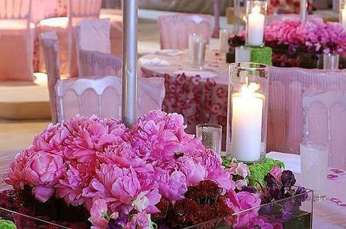 把我赶出家门后，女儿后悔了小说(申文柏陈思语)章节阅读