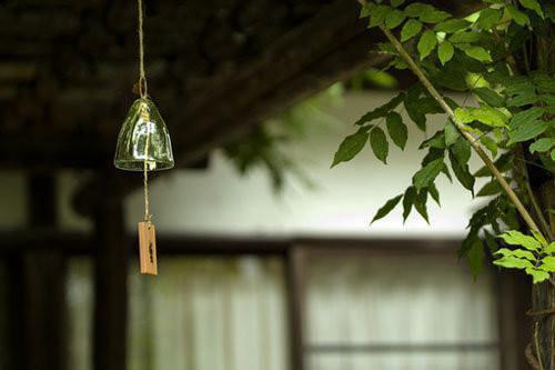 珂雨君天临小说 珂雨君天临娇妃萌宝欢乐多全文阅读