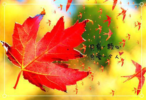 苏雨鸢厉云野小说全文(苏雨鸢厉云野小说)小说免费阅读无弹窗大结局_苏雨鸢厉云野全文无弹窗完整版阅读
