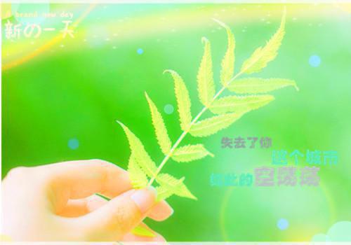 陆倦江时暮（闻浅婼岑慕奚全文免费）完结阅读无弹窗大结局_陆倦江时暮最新章节列表（闻浅婼岑慕奚全文免费）
