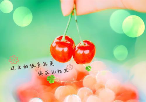 陈时景温星梨（温星梨陈时景小说）全文免费阅读无弹窗大结局_温星梨陈时景小说最新章节列表（陈时景温星梨）