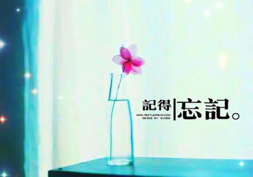 火爆小说离婚后，闪婚京圈大佬免费阅读