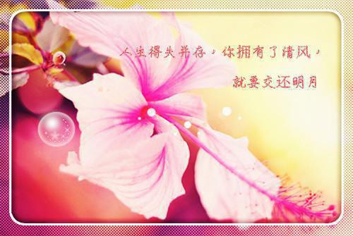 摆脱恋爱脑后,真千金她成了玄学大佬(已完结小说全集完整版大结局)小说全文阅读