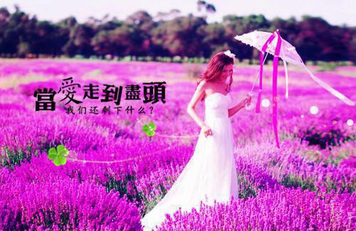描写雪中梅花姿态的句子 它不是在三月开放，而是在冬天