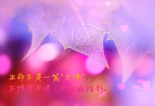江晚茉陆琰全文（江晚茉陆琰后续）全文免费阅读无弹窗大结局_江晚茉陆琰免费最新章节列表（江晚茉陆琰后续）