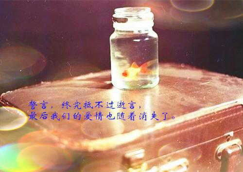 谢意珊陆珩越免费阅读无弹窗谢意珊陆珩越（谢意珊陆珩越）全文免费阅读无弹窗大结局_(谢意珊陆珩越)谢意珊陆珩越最新章节列表（谢意珊陆珩越）