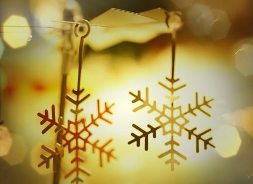 苏白杨伟小说目录 苏白杨伟完整免费版阅读