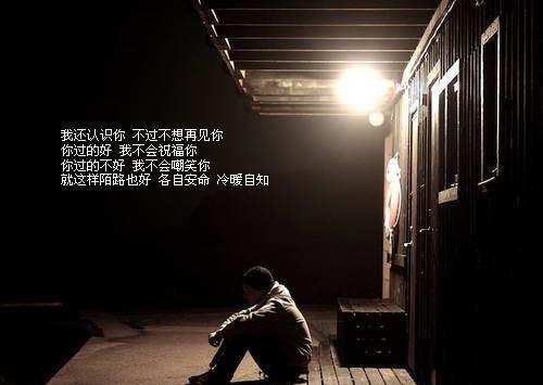 陆云姝宋明钰小说（宋明钰陆云姝）完整全文在线阅读_陆云姝宋明钰小说免费阅读全章节目录（宋明钰陆云姝）
