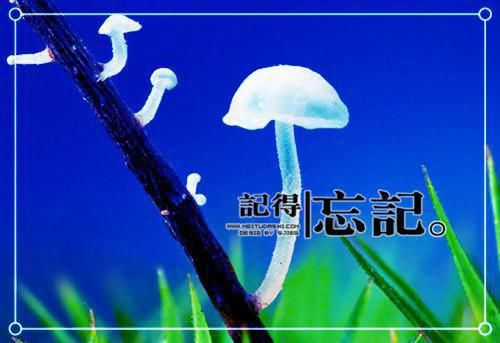 洛以川何皎皎楚思齐免费全文 洛以川何皎皎楚思齐小说在线阅读