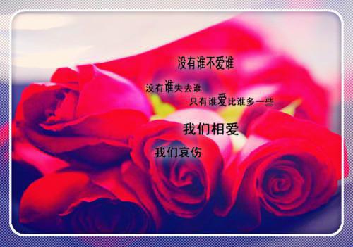 陆墨尘沈倾颜（沈倾颜陆墨尘）小说在线阅读_陆墨尘沈倾颜全本免费小说阅读（沈倾颜陆墨尘）
