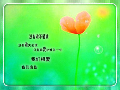 关于赞美老师的精品散文