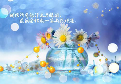 陆译江宜栀完整版热门（江宜栀陆译）全文免费阅读已完结无弹窗_陆译江宜栀小说最新章节列表（江宜栀陆译）